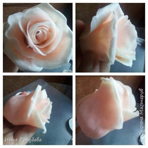 ​Розы сорта Талея из холодного фарфора