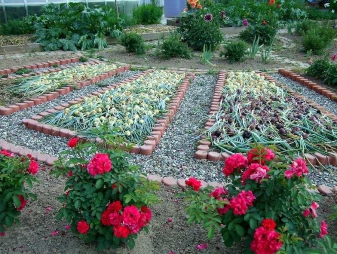 ​Как огород превратить в прекрасный сад