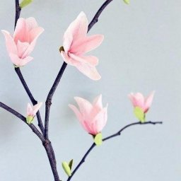 Магнолии из креп-бумаги