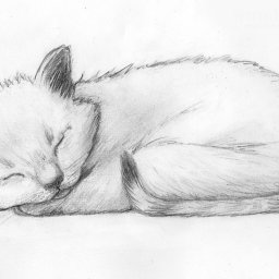 Рисуем милого котёнка