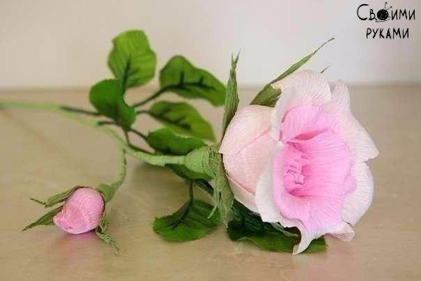 Розочка из гофрированной бумаги: мастер-класс
