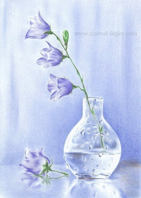 Очень нежный натюрморт цветными карандашами