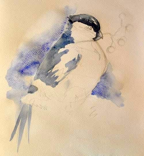 Рисуем снегиря