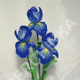 Изумительно красивые ирисы из бисера