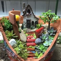 ​Миниатюрные сады в горшках