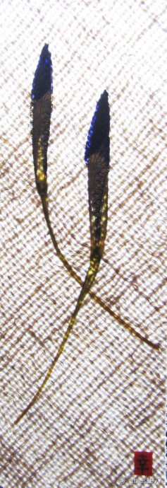 Оригинальная закладка своими руками