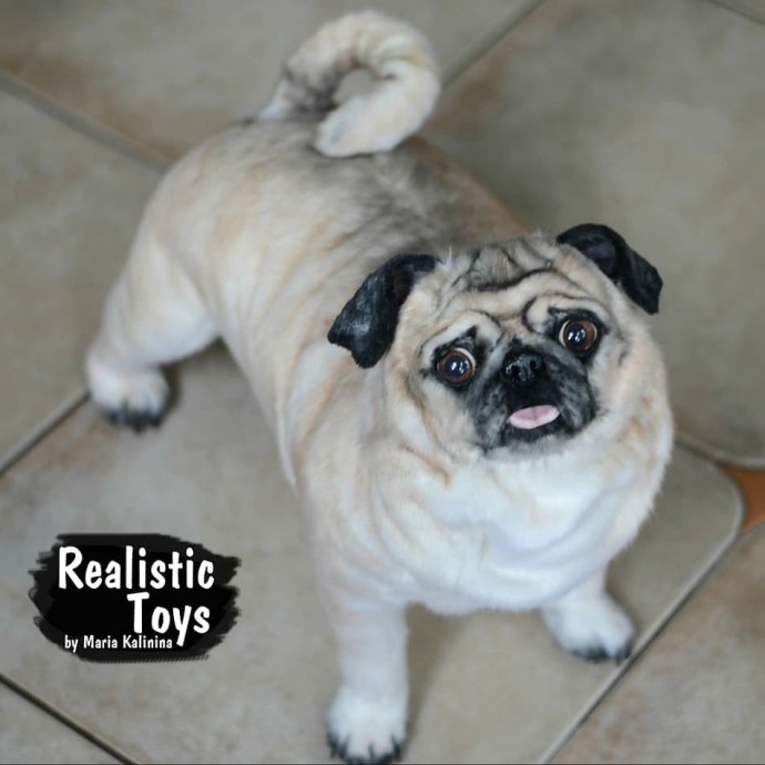 Нереально реальные животные