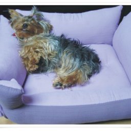 Шьем лежанку для членов семьи на четырех лапах