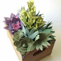 ​Суккуленты из фетра