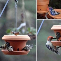 ​Идеи создания кормушек для птиц