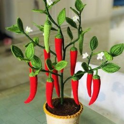 ​Куст острого перца