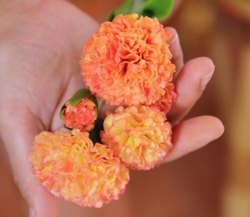 Лепим красивую  правдоподобную гвоздику