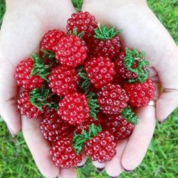 Малина из бисера