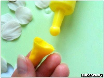 Нарцисс: мастер-класс