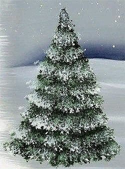 Как нарисовать ёлку со снегом