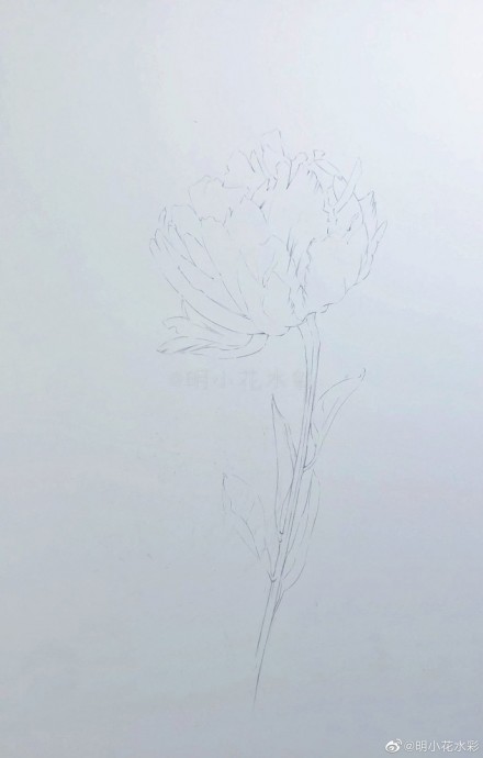 Урок рисования акварелью: тюльпан