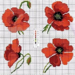 Красочные яркие маки