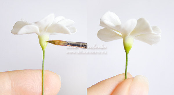 Лепим примулу