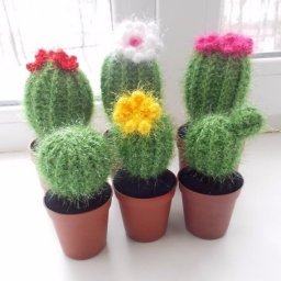 ​Вязаные кактусы