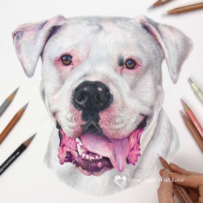 ​Идеи рисования собак карандашами