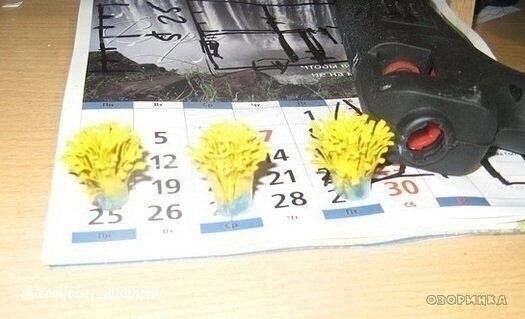 Мастерим кувшинки для садового пруда Мастерим кувшинки для садового пруда