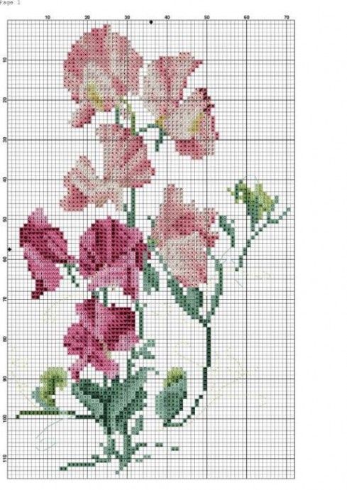 Для жизни в розовом цвете Для жизни в розовом цвете