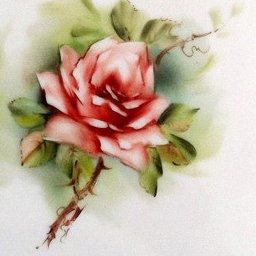 ​Рисуем розу акварелью