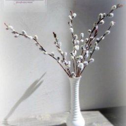 Правдоподобная верба