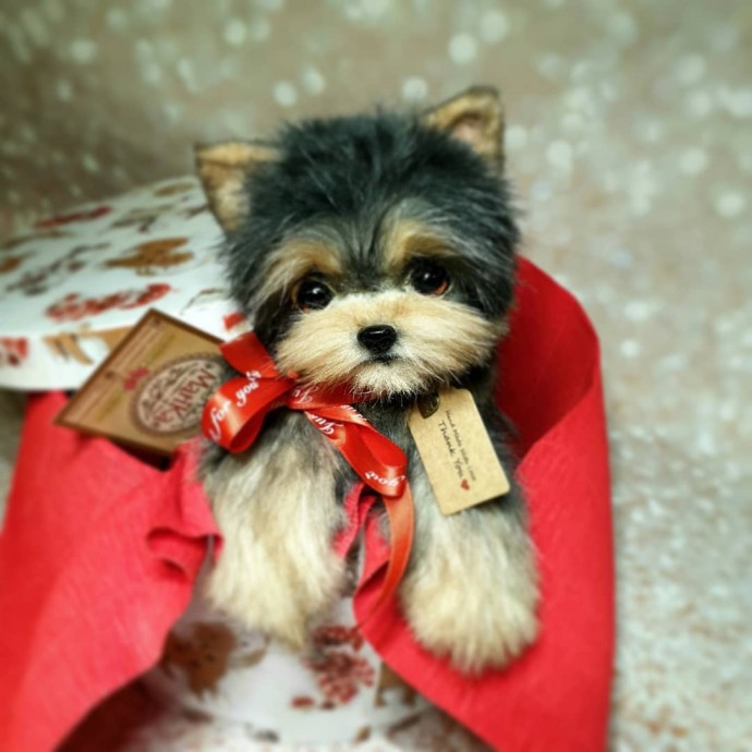 Нереально реальные животные