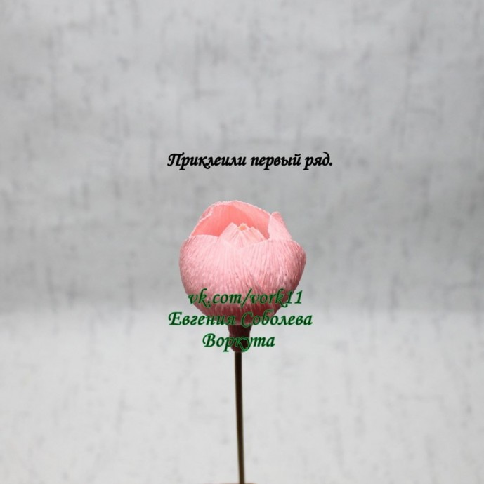 ​Розочки из гофробумаги