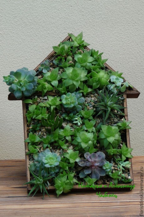 Фито-панно "Домик"