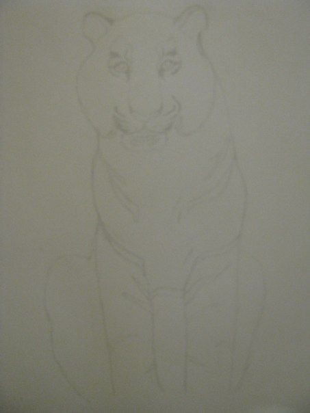 ​Рисуем тигра: мастер-класс