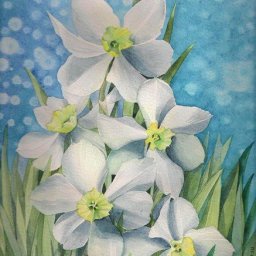 ​Рисуем нарциссы