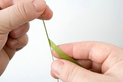 Букетик подснежников из гофрированной бумаги