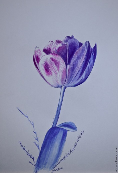 Зимний тюльпан в технике акварельной живописи Зимний тюльпан в технике акварельной живописи