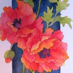 ​Урок рисования: маки