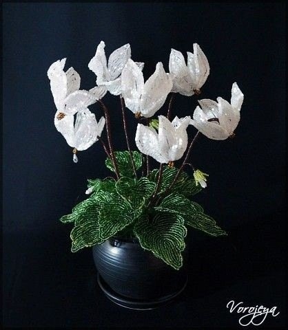 Красота для вашего вдохновения Красота для вашего вдохновения