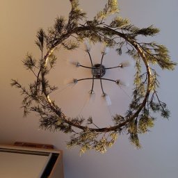 Высушивание еловых веток для декора