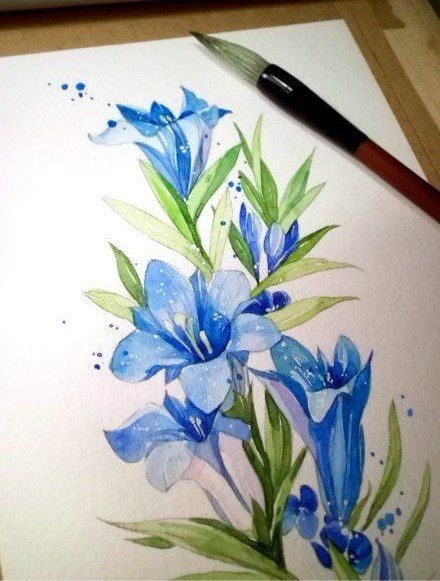 Рисуем полевые цветы акварелью