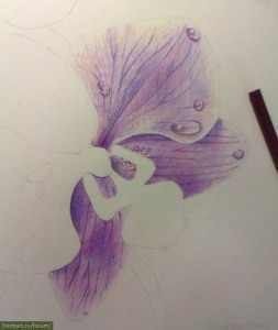 ​Рисуем прекрасную орхидею цветными карандашами
