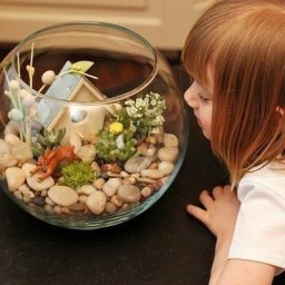 ​Создайте мини-сад с камнями и суккулентами