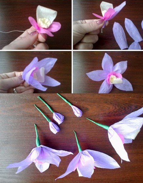 Чудесная орхидея из гофрированной бумаги
