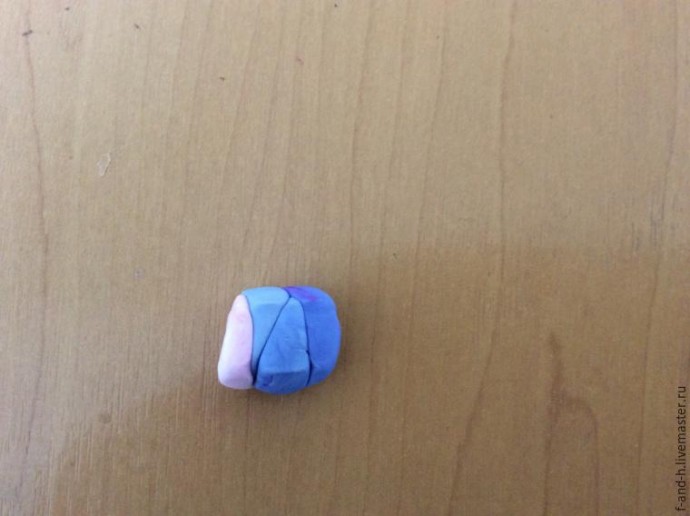 Цветок примулы