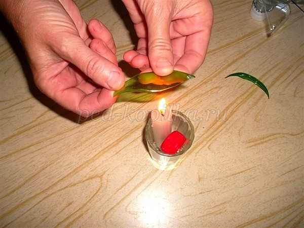 Цветы из пластиковых бутылок для сада: мастер-класс Цветы из пластиковых бутылок для сада: мастер-класс