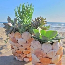 Используем ракушки в декоре интерьера