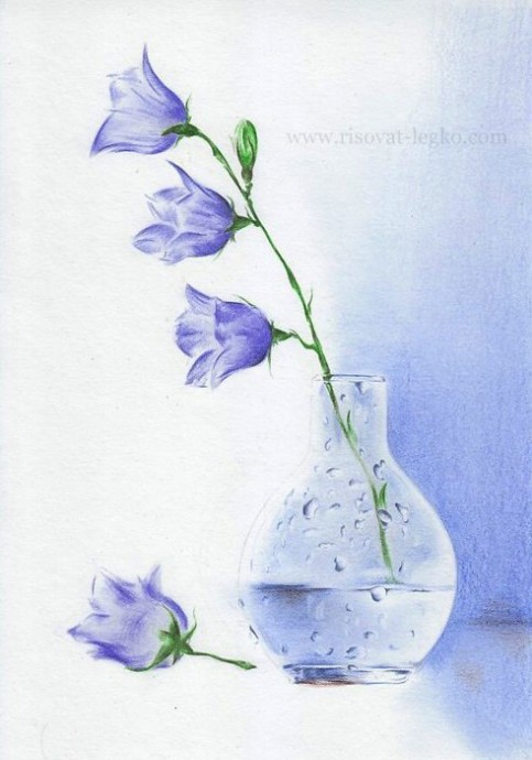 Очень нежный натюрморт цветными карандашами