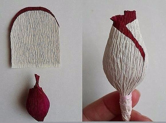 Двухцветная розa из бумаги: красивая идея для творчества