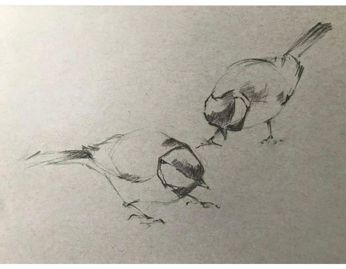 Урок рисования цветными карандашами: синички