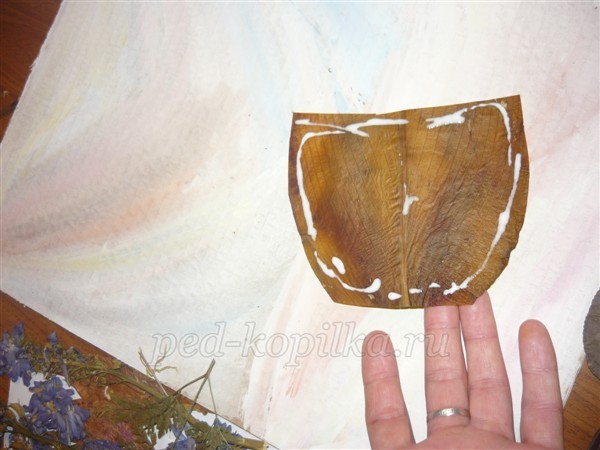 Флористическая композиция из засушенных растений: мастер-класс