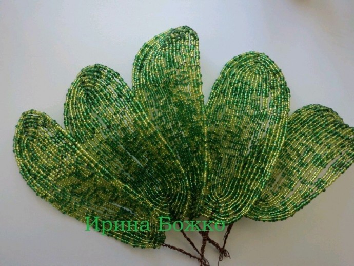 Белая орхидея